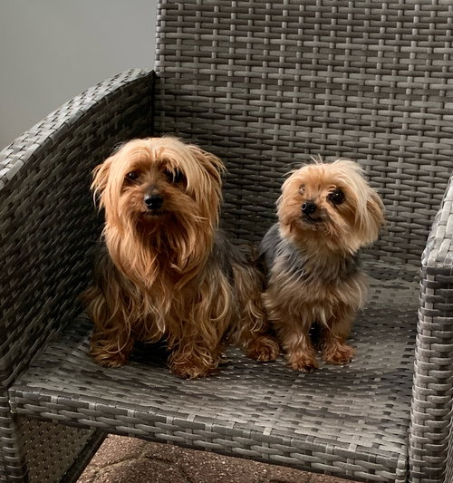 Miko & Coco