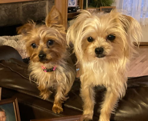 Sophie & Baby
