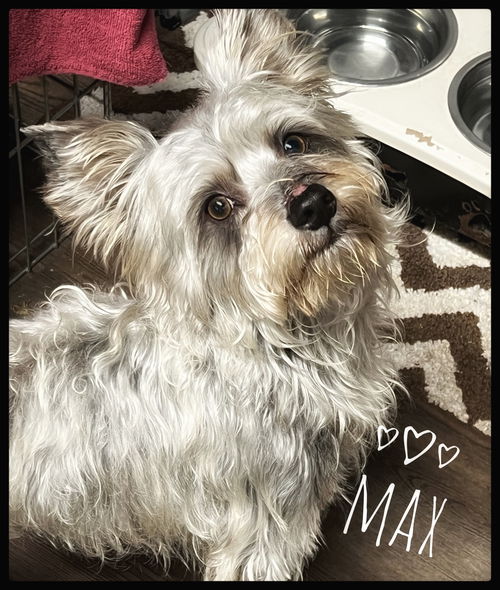 Maxx
