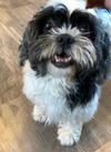 Maddie