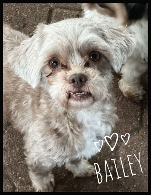 Bailey