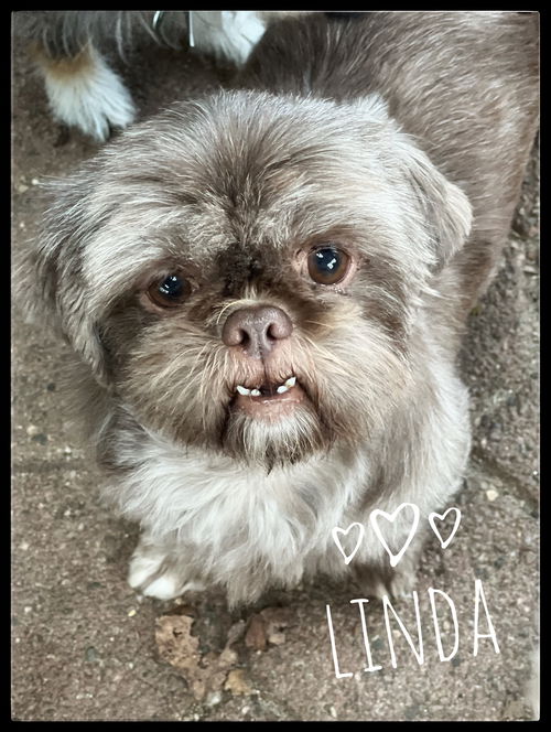 Linda