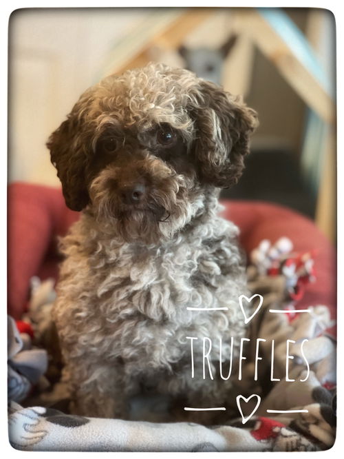 Truffles