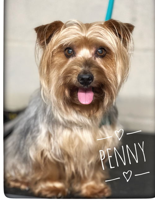 Penny Lane