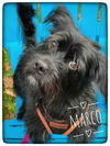 Marco