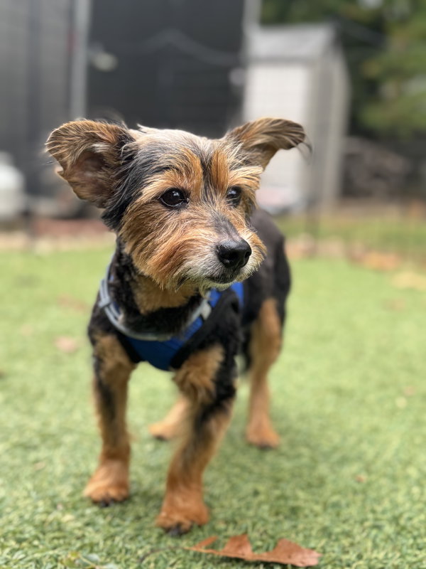 Murphy