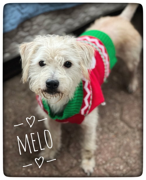 Melo