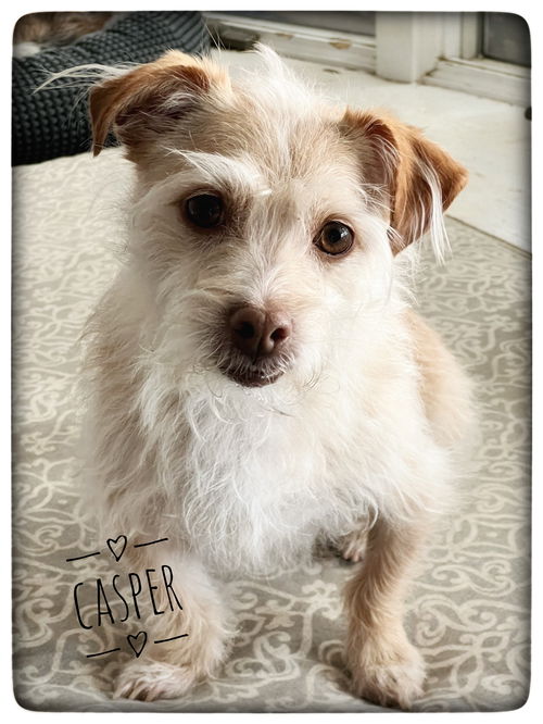 Casper