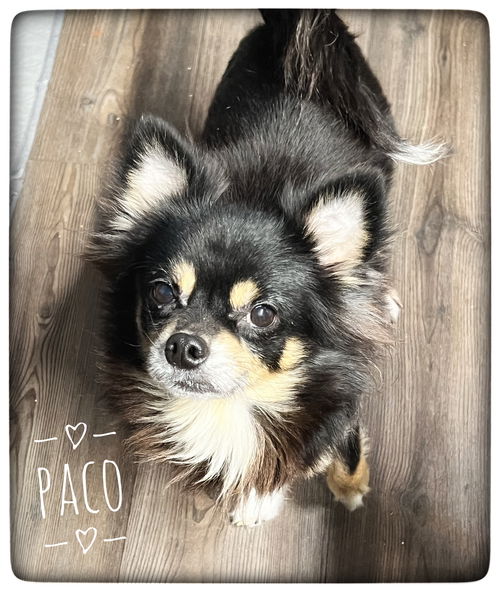 Paco