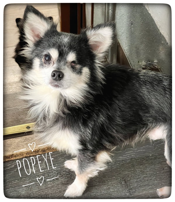 Popeye