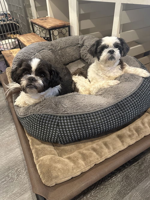 Milo & Sophie