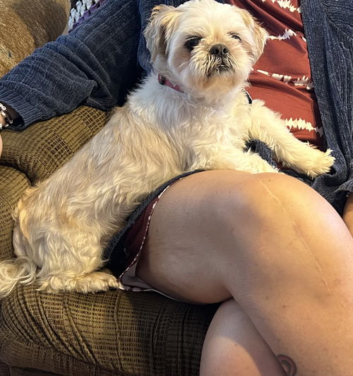 Cooper