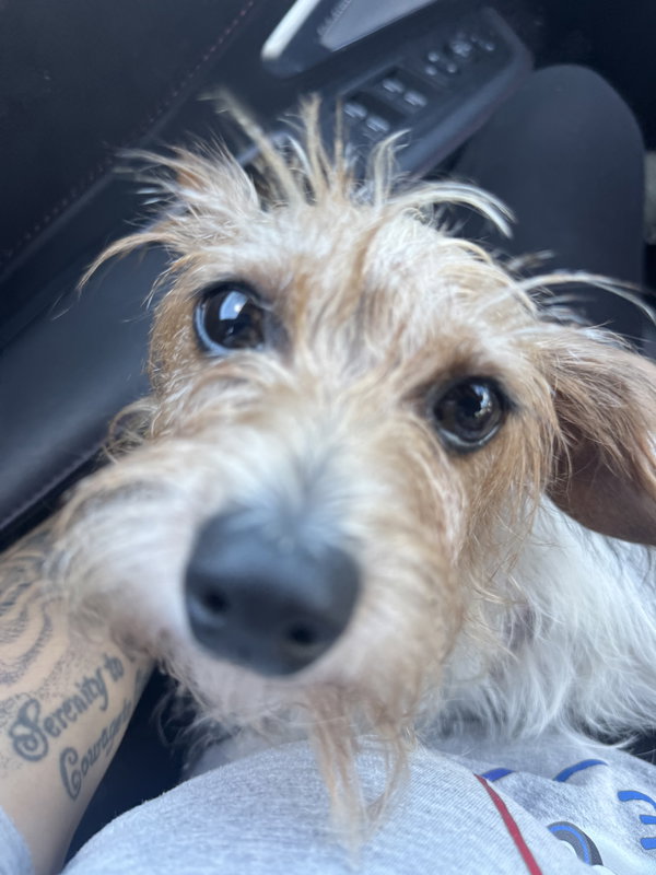 Sokka