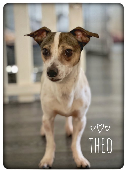 Theo