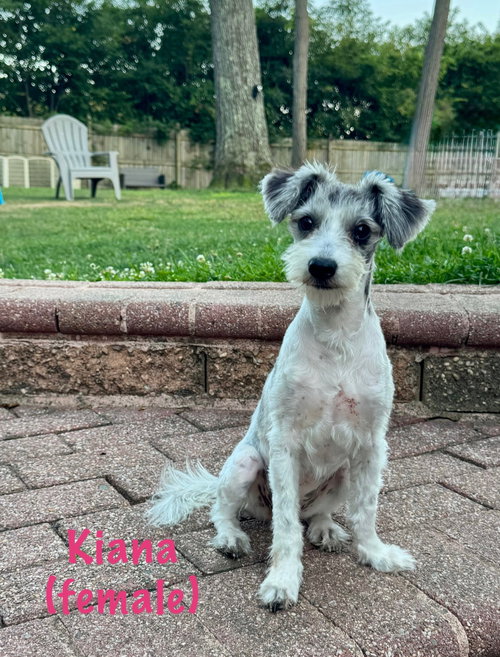 Kianna