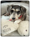 Willow