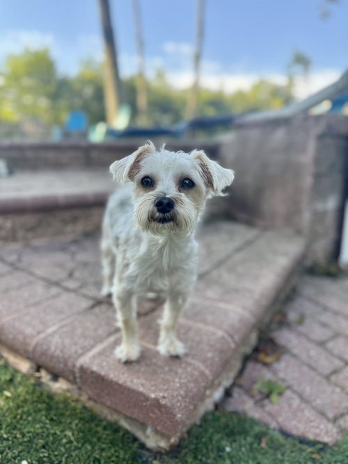 Zoe