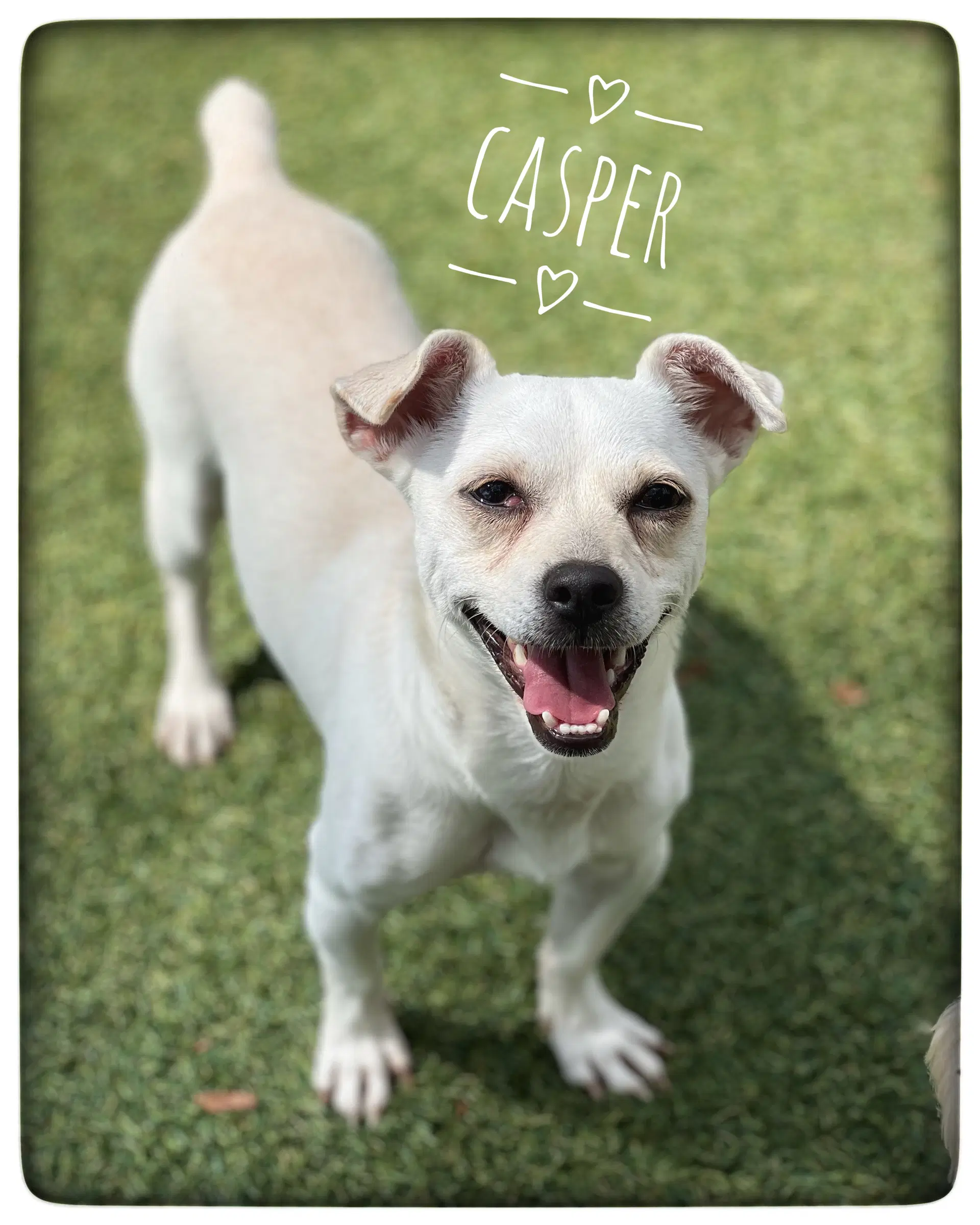 Casper image 4