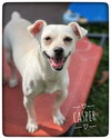 Casper