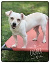Casper