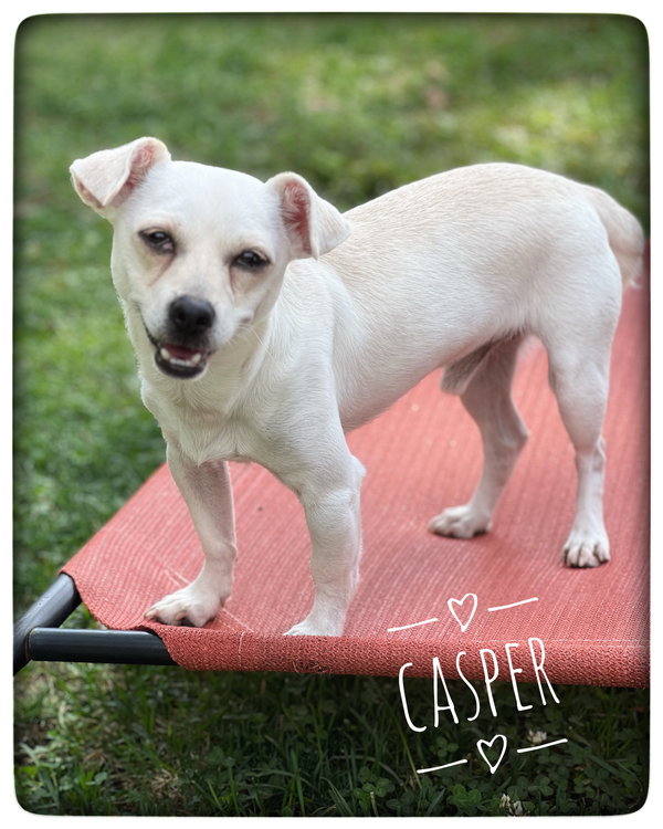 Casper