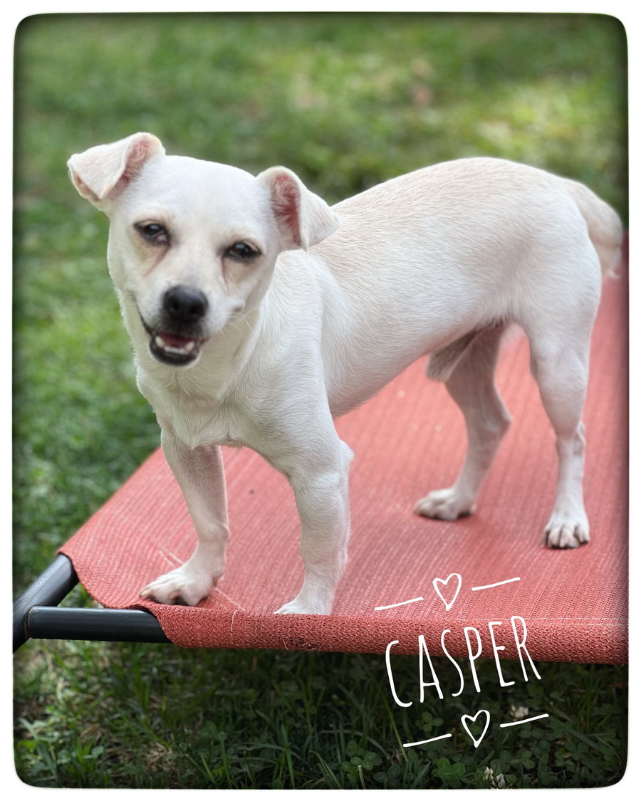 Casper