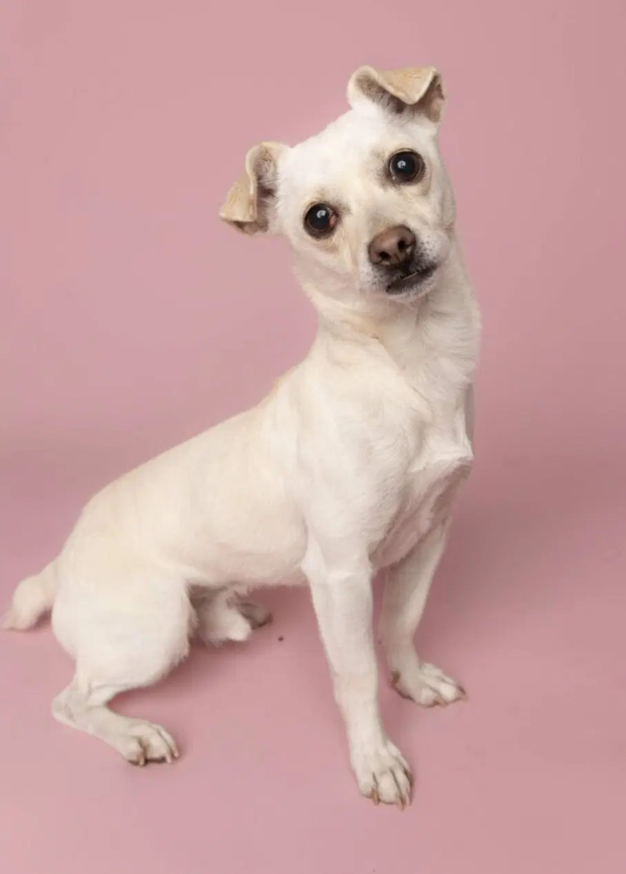 Casper image 3