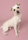 Casper - Photo 1