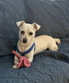 Casper - Photo 4