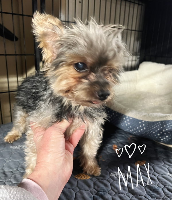 Max