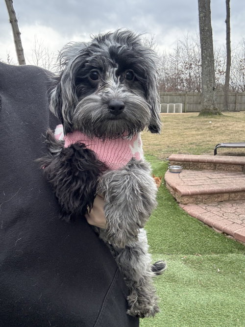 Esme (Rosie)