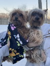 Zeke & Zulu