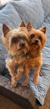 Zeke & Zulu