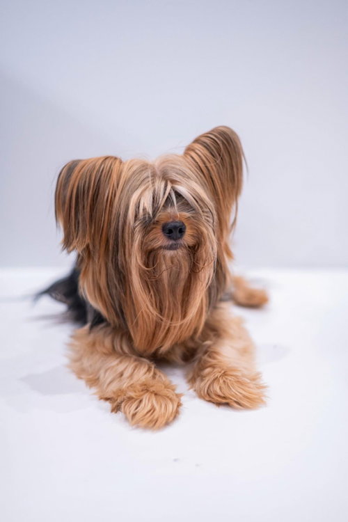 Charley Boy photo 2