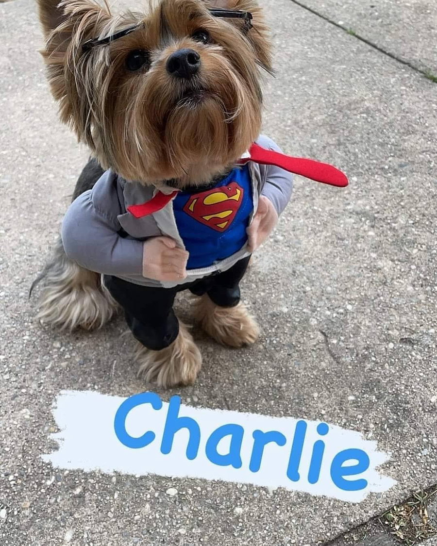 Charley Boy