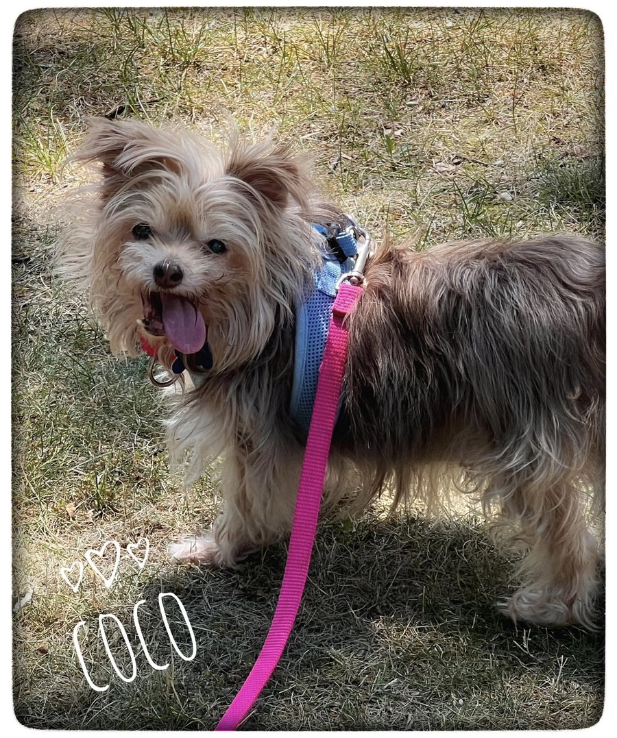 Coco