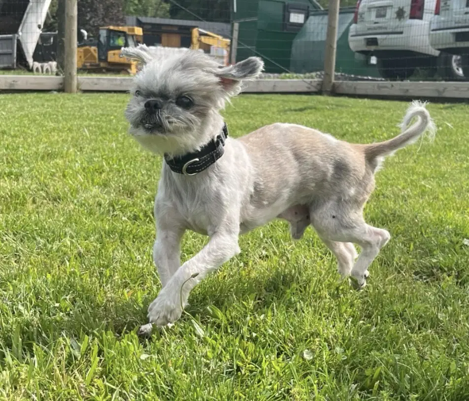 Max image 2