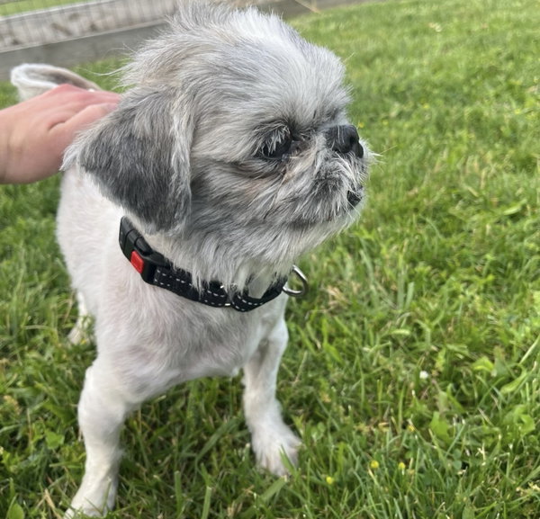 Max