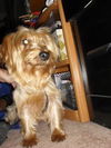 Sweetie Pie Ella