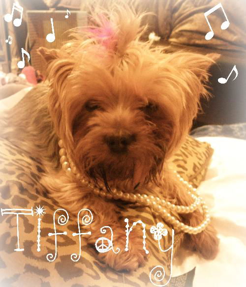 Tiffany