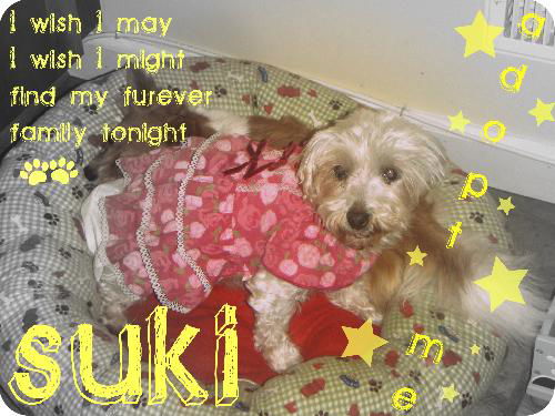 Suki