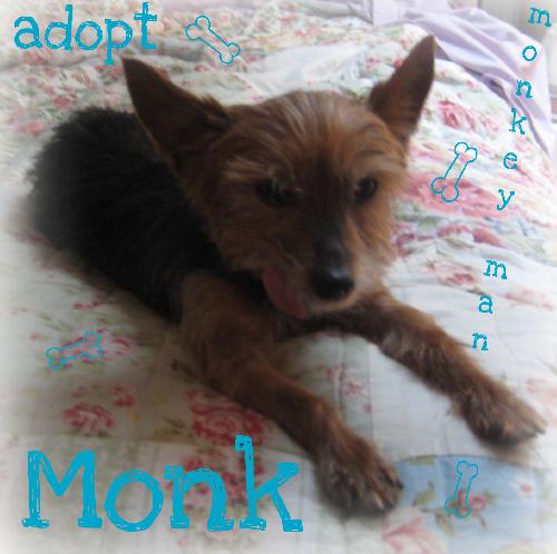 Monk