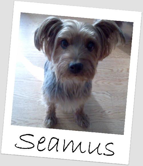 Seamus