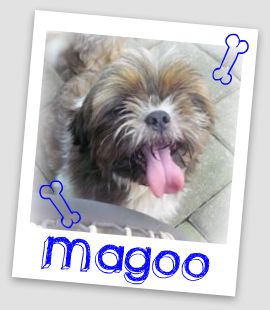 Magoo