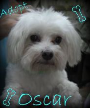 Oscar
