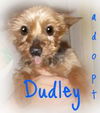 Dudley