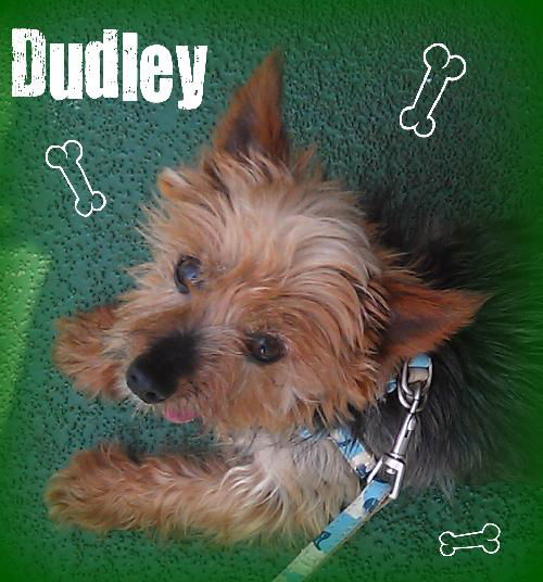 Dudley