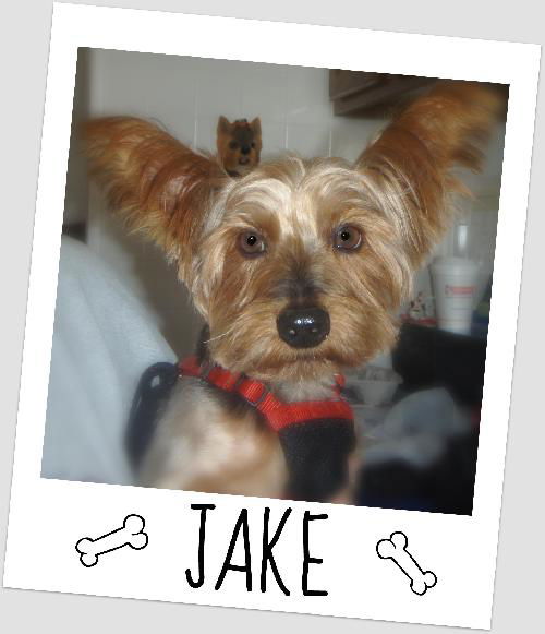 Jake