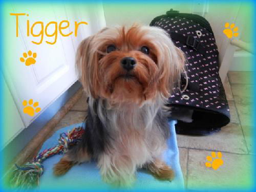 Tigger