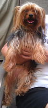 Tigger